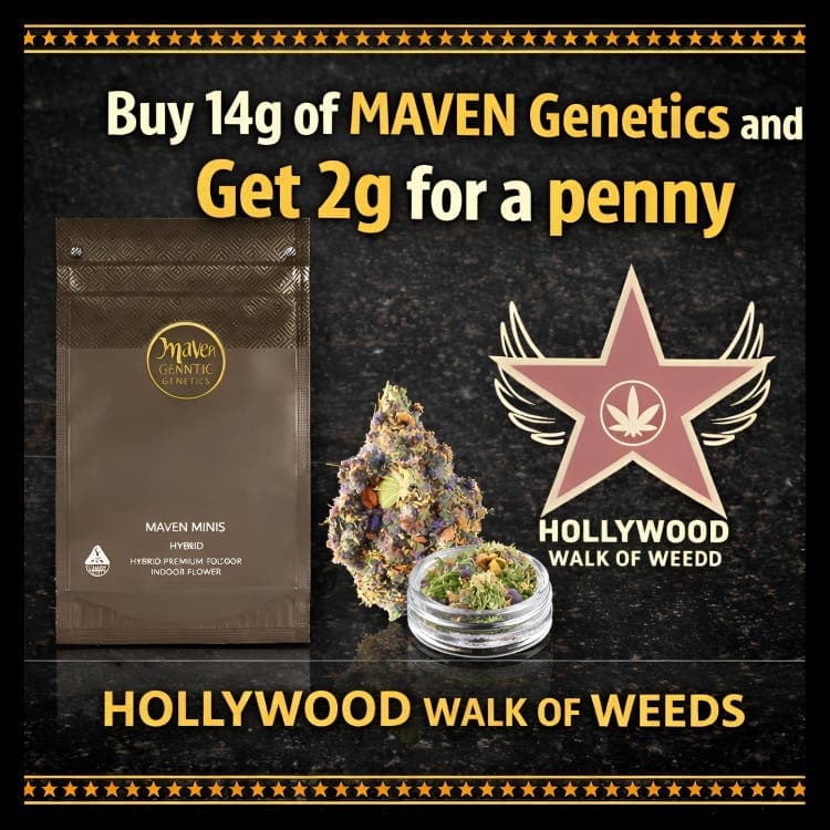 Chem 51 Maven Minis [14g]
