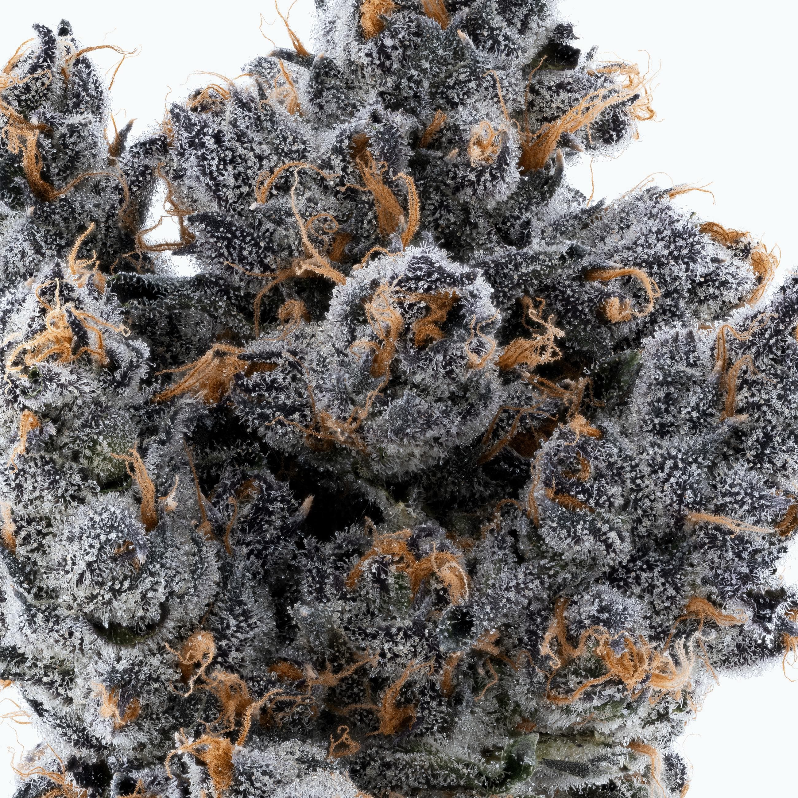 Lumpy's Flowers | Apple Fritter | 3.5g Glass Jar