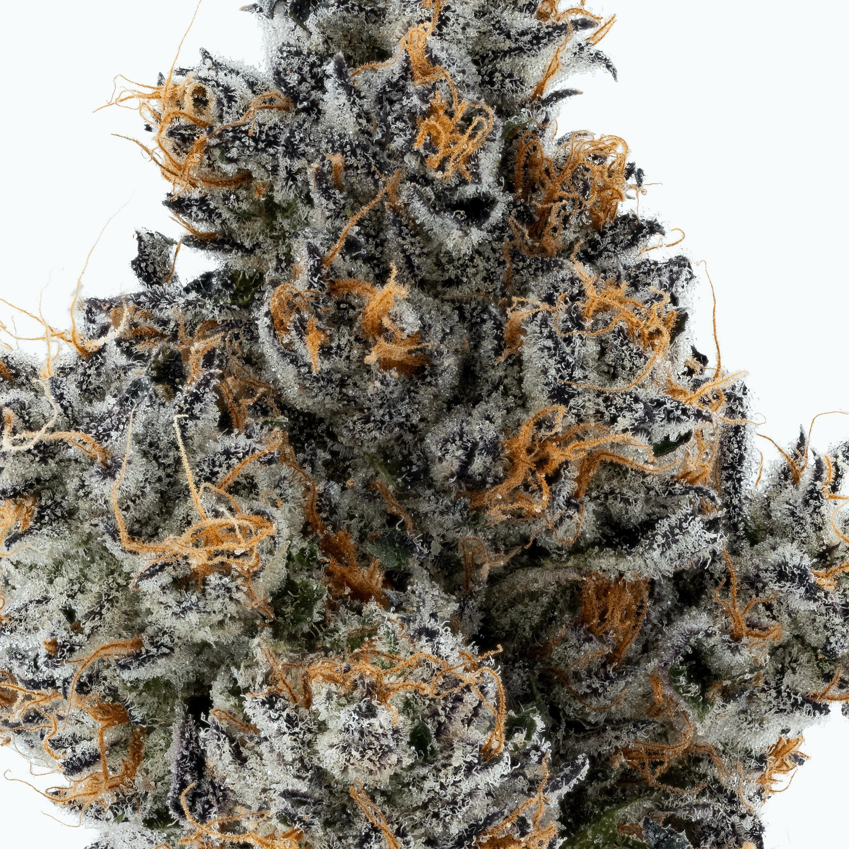Lumpy's Flowers | PB & Jane | 14g Mylar Bag