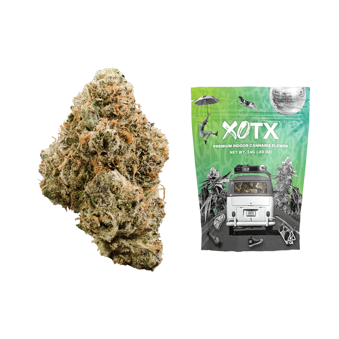 Lemon Cherry Gelato 14G