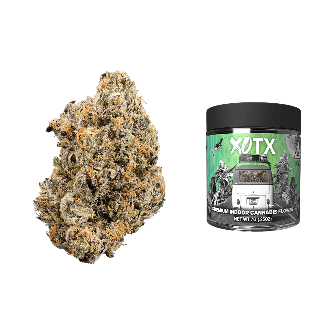 Jet Fuel Gelato 7G