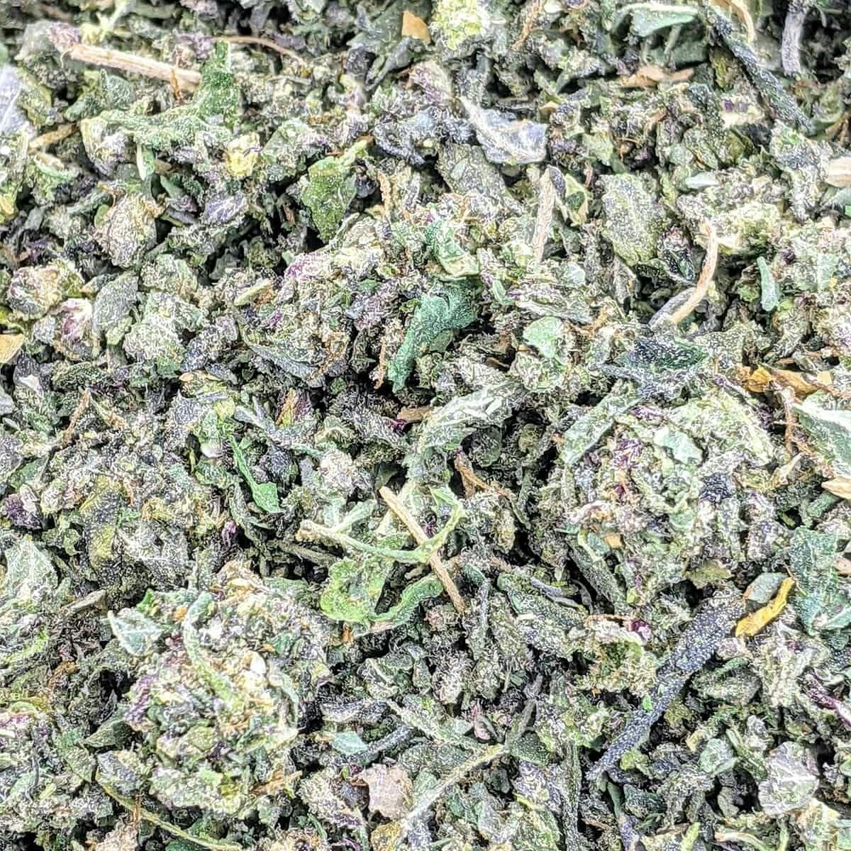 Poison Runtz (Durban Poison X Runtz) - 28g Sugar Shake
