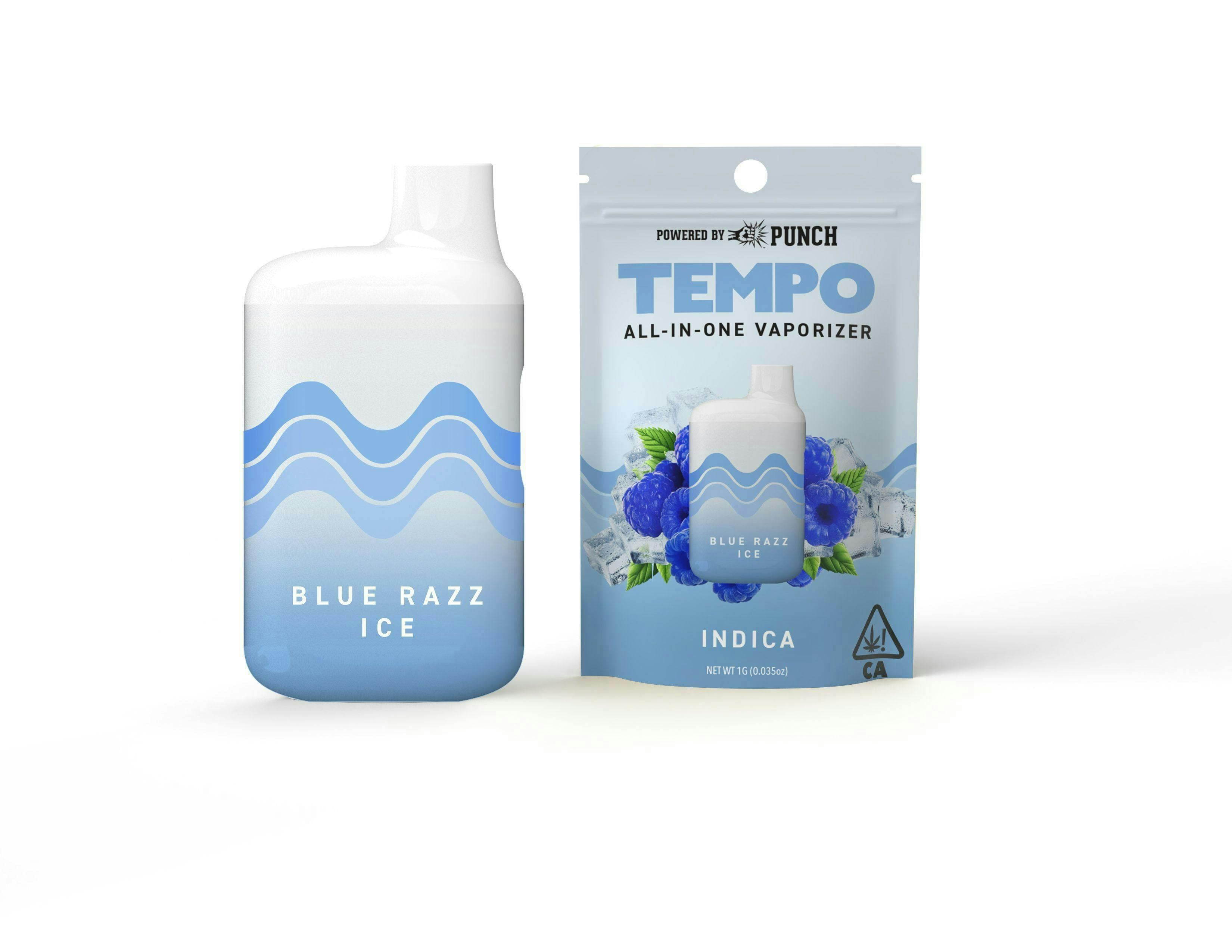 Tempo | Blue Razz Ice | AIO Disposable | 1g