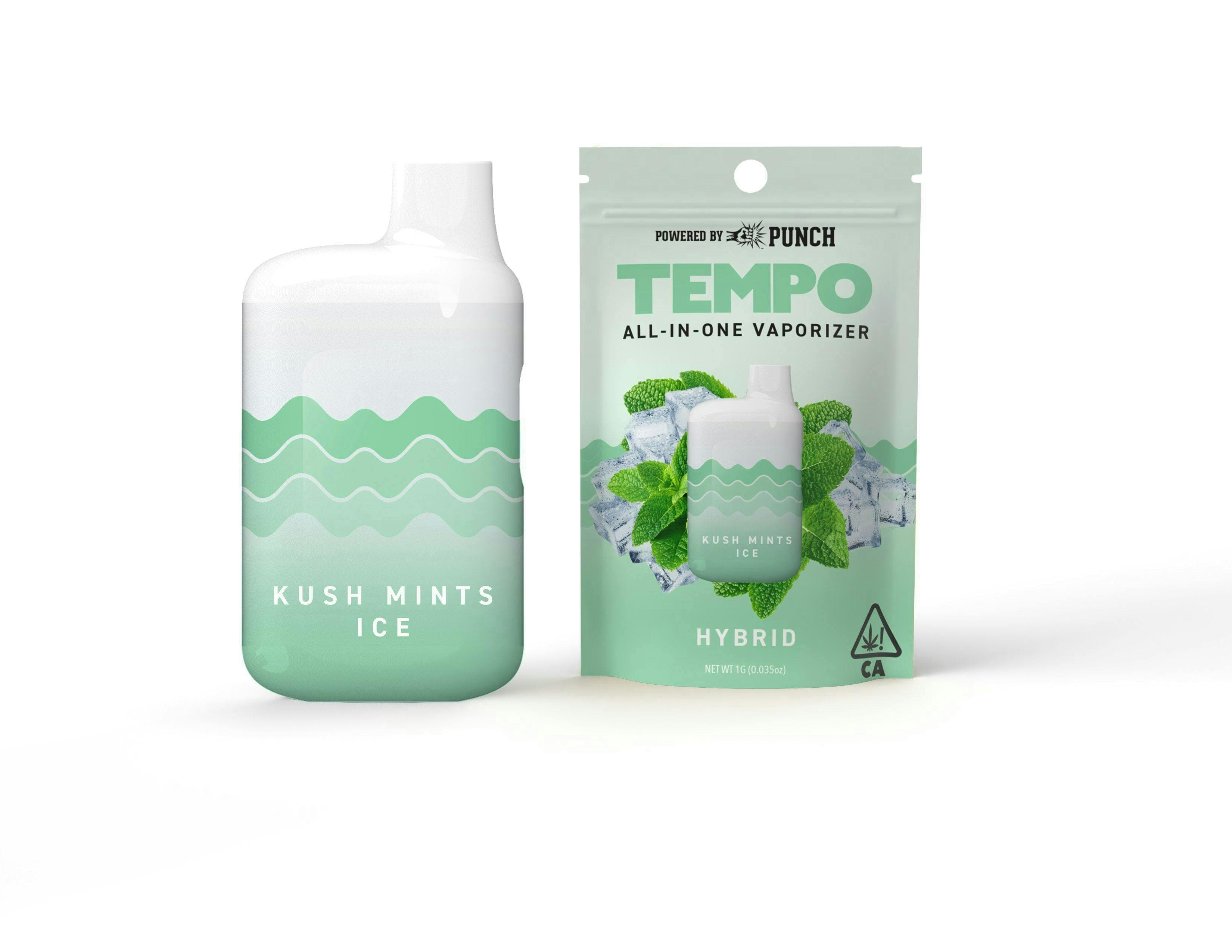 Tempo | Kush Mints Ice | AIO Disposable | 1g