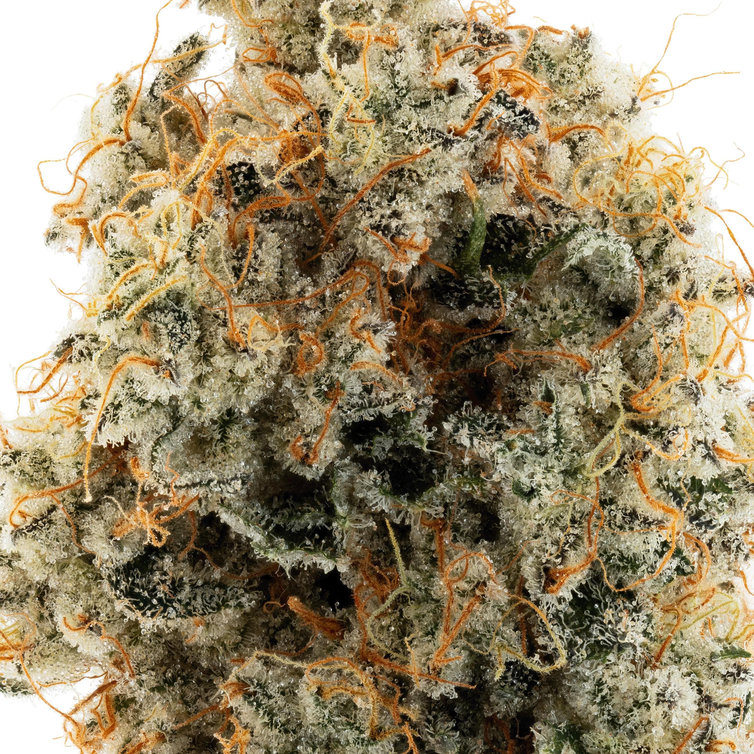 Lumpy's Flowers | Banana Bread | 3.5g Glass Jar