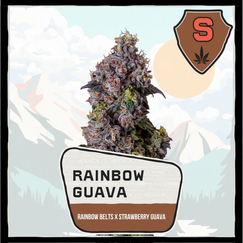 Rainbow Guava Buds