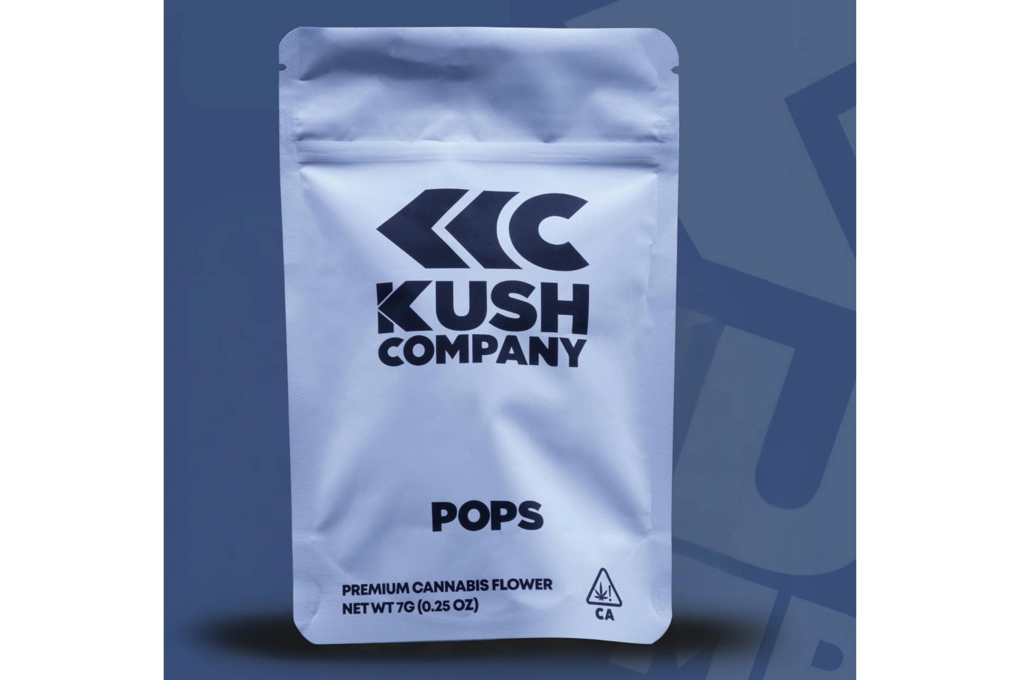 Iceberg Slim - Pops
