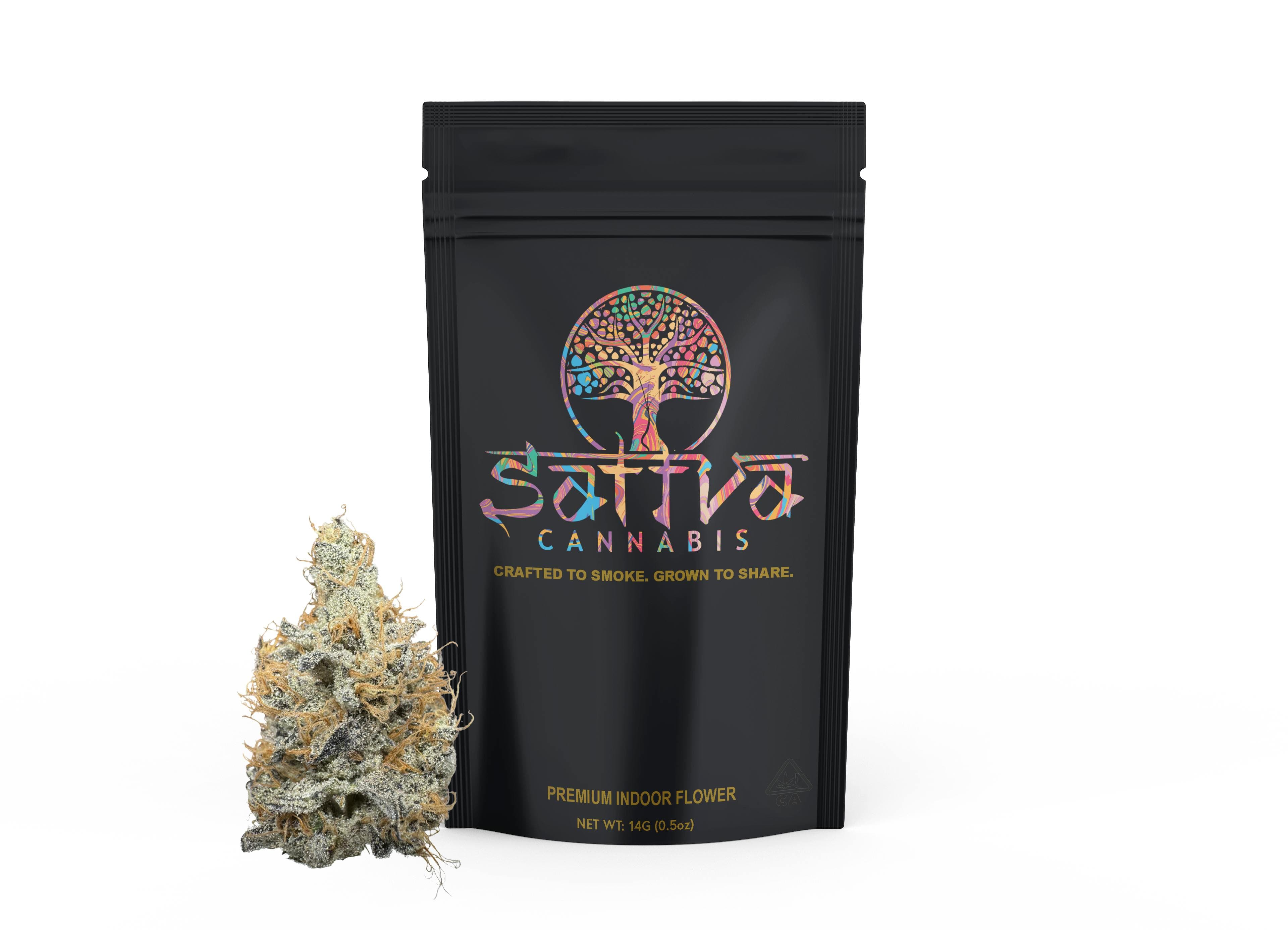 GovernMint Oasis 14G