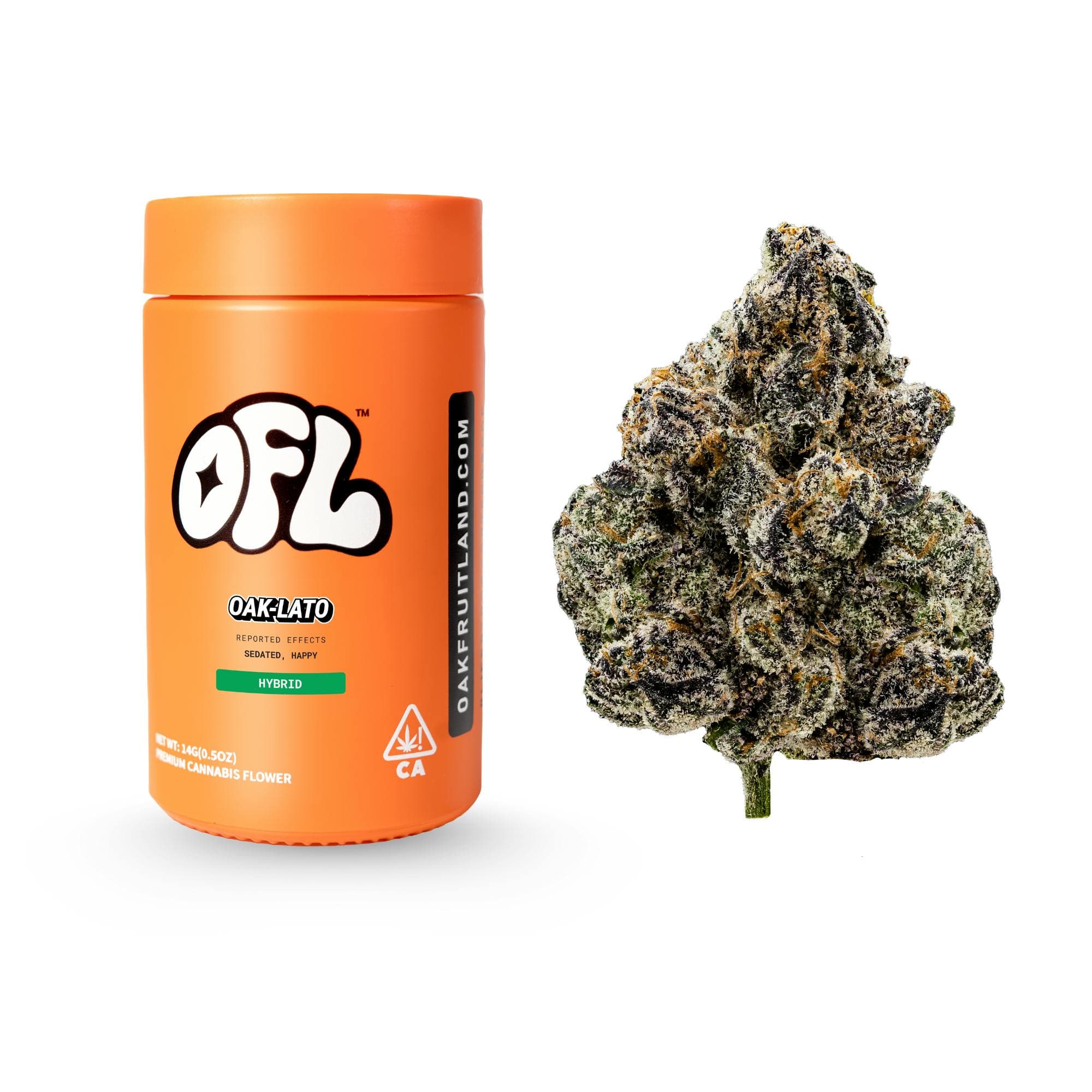 Oak-Lato Premium Flower Jar 14g - Big Buds