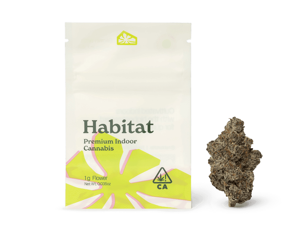 Habitat | Paloma | Big Buds | 1g