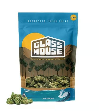 Glass House Farms | Scatterbrain | Big Buds | 28g