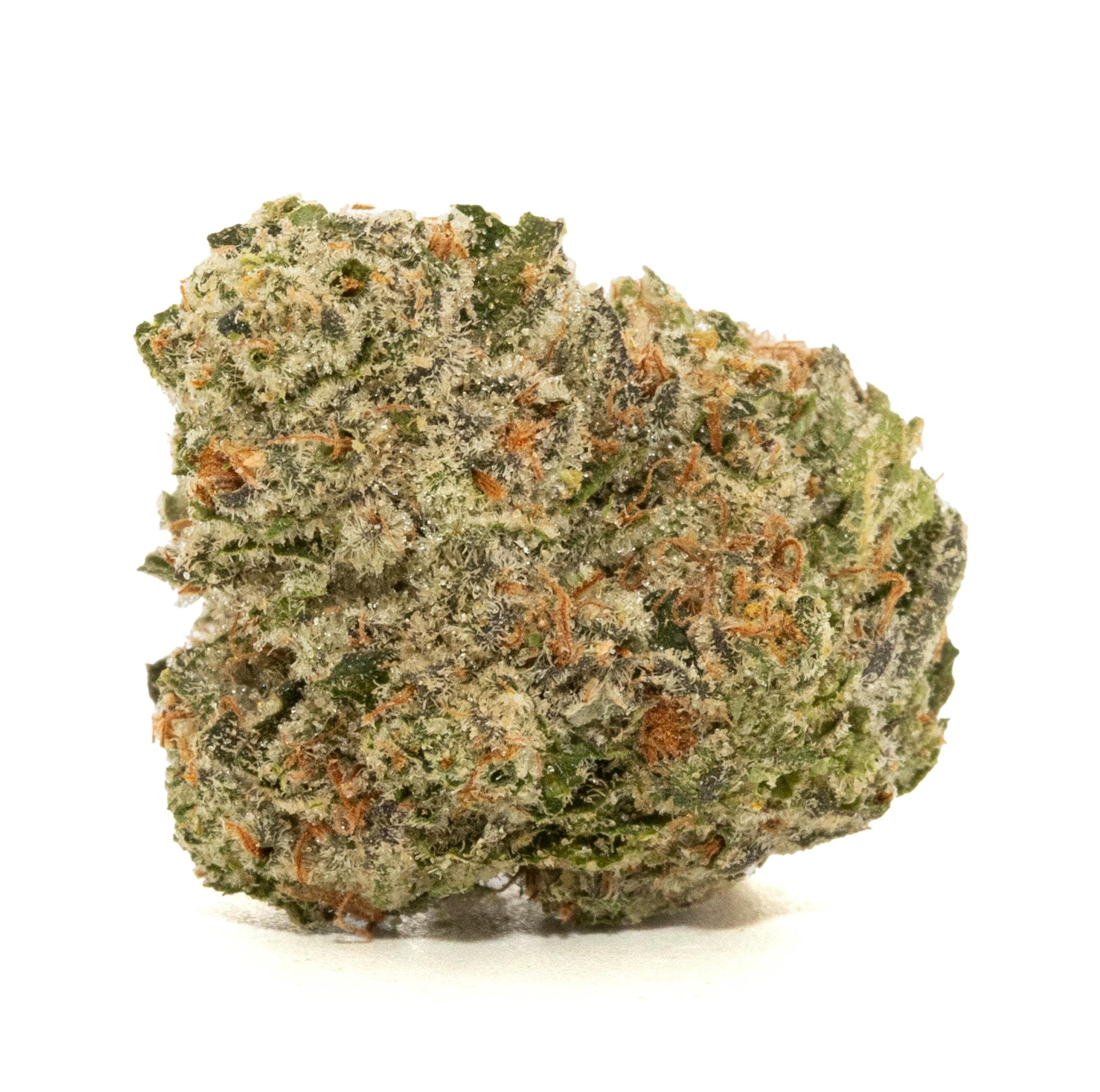 ZOO DAWG [3.5G]