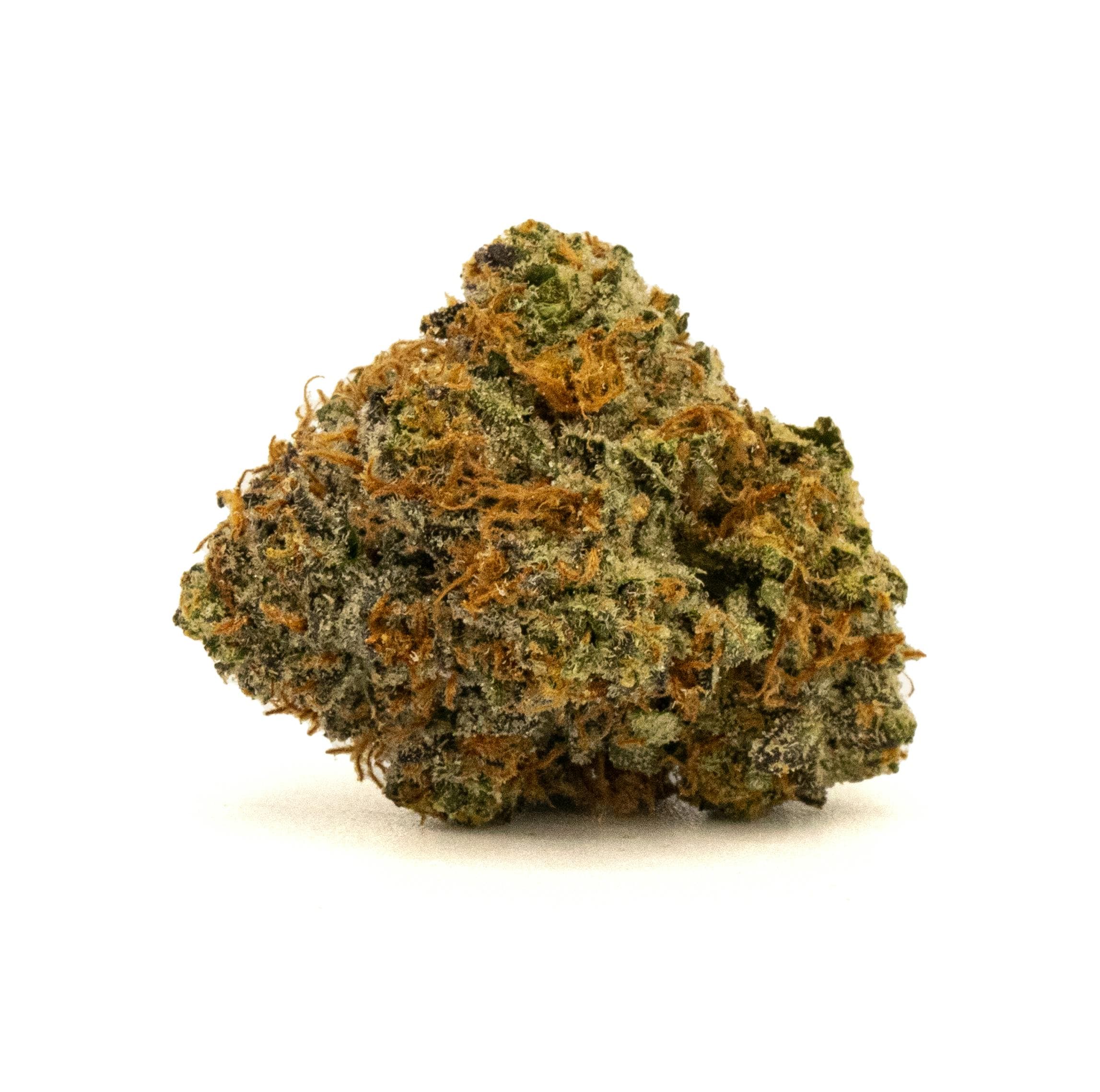 PROMO RS-11 [3.5G]