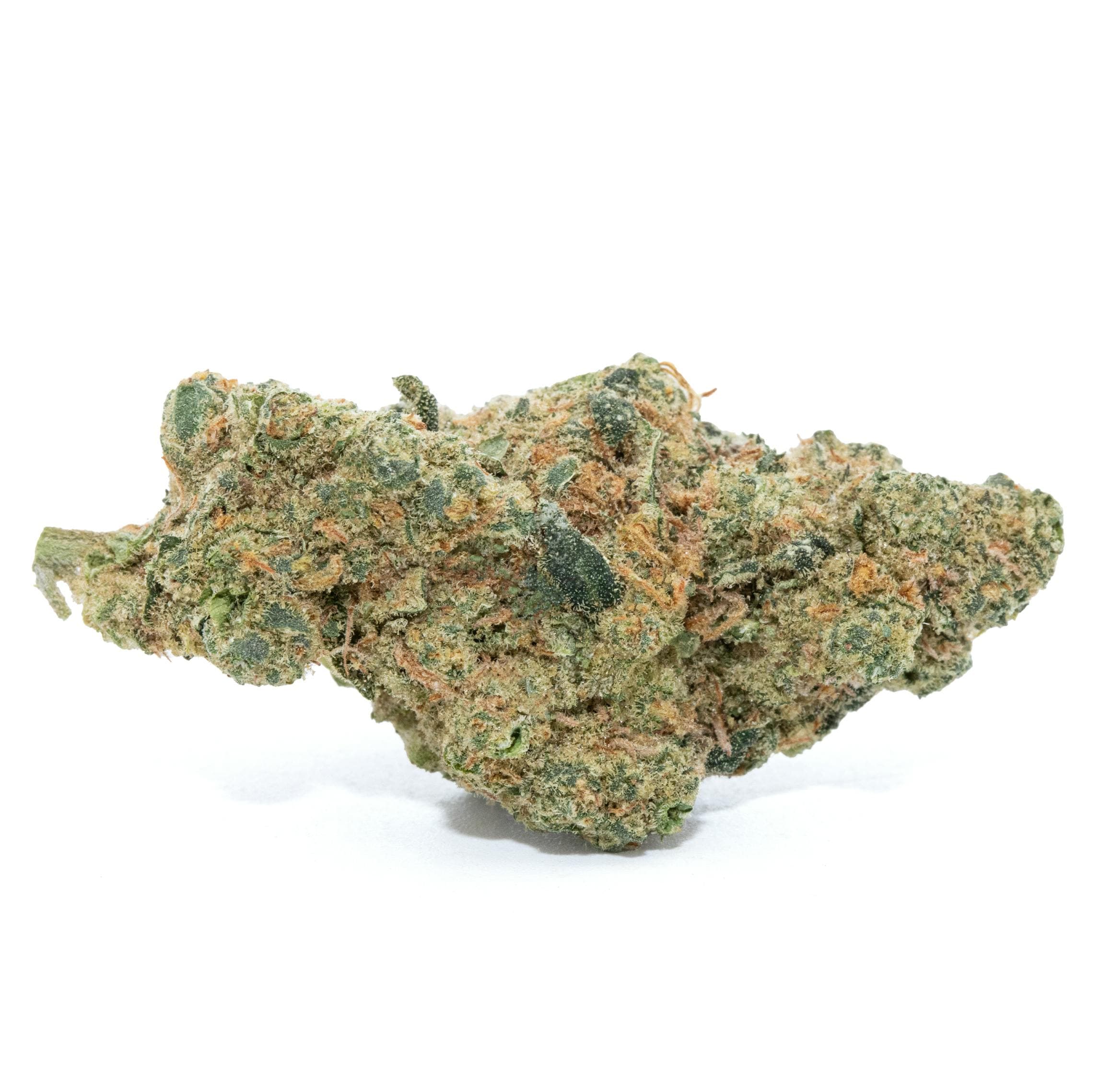REGINA GEORGE [3.5G]