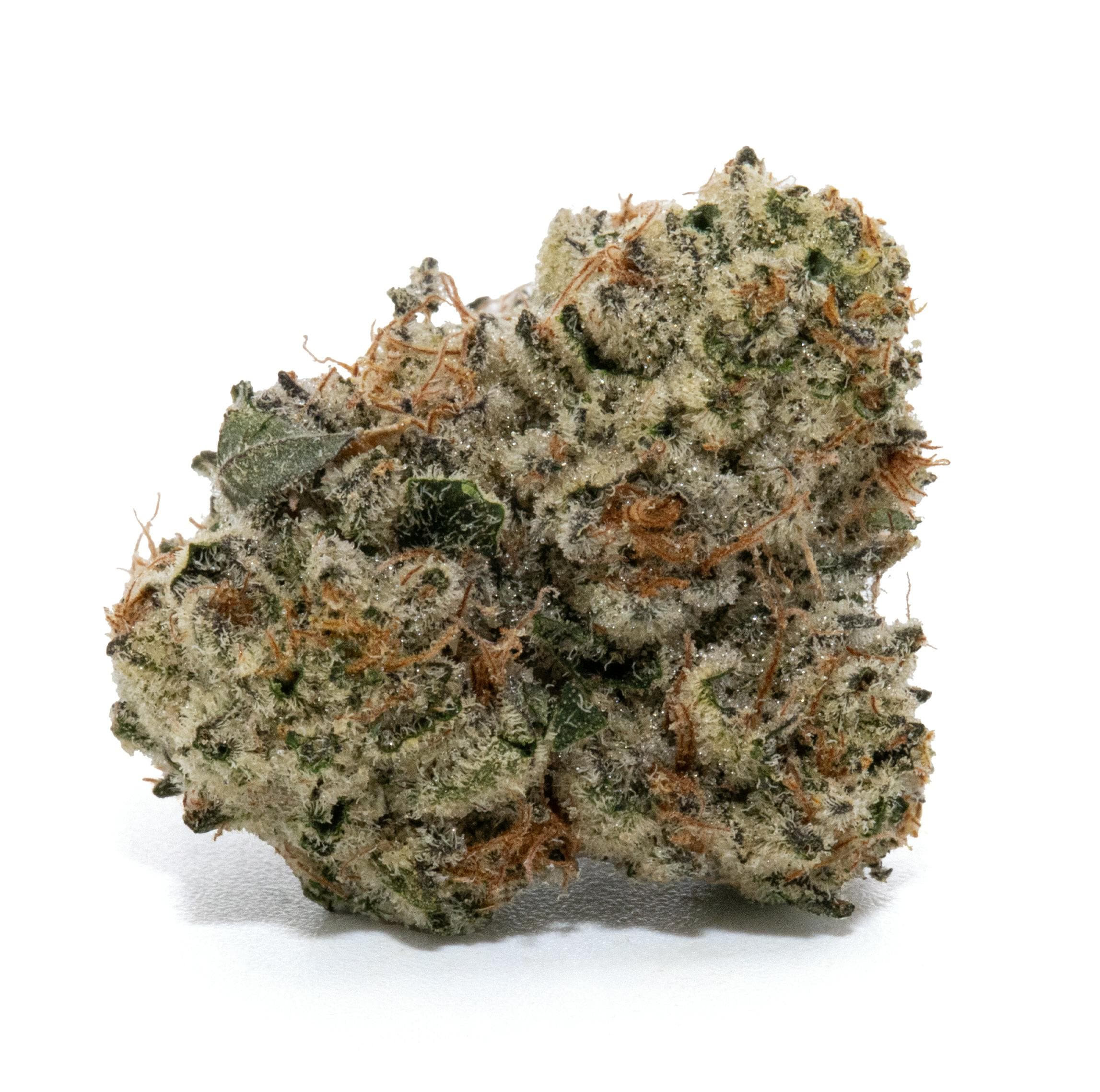 OREOZ [3.5G]