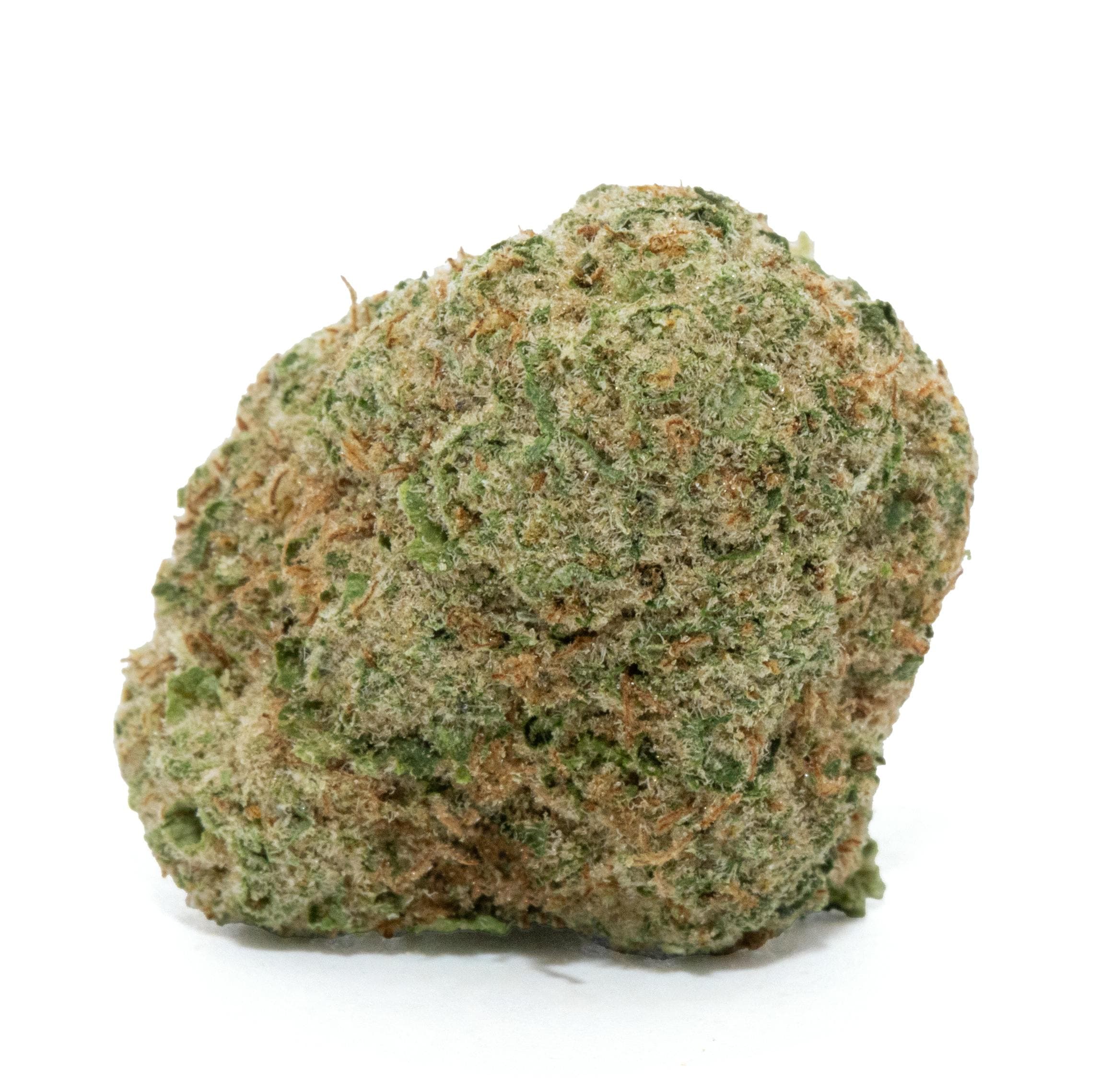 CHEDDAR CHEEZE POPCORN [14G]