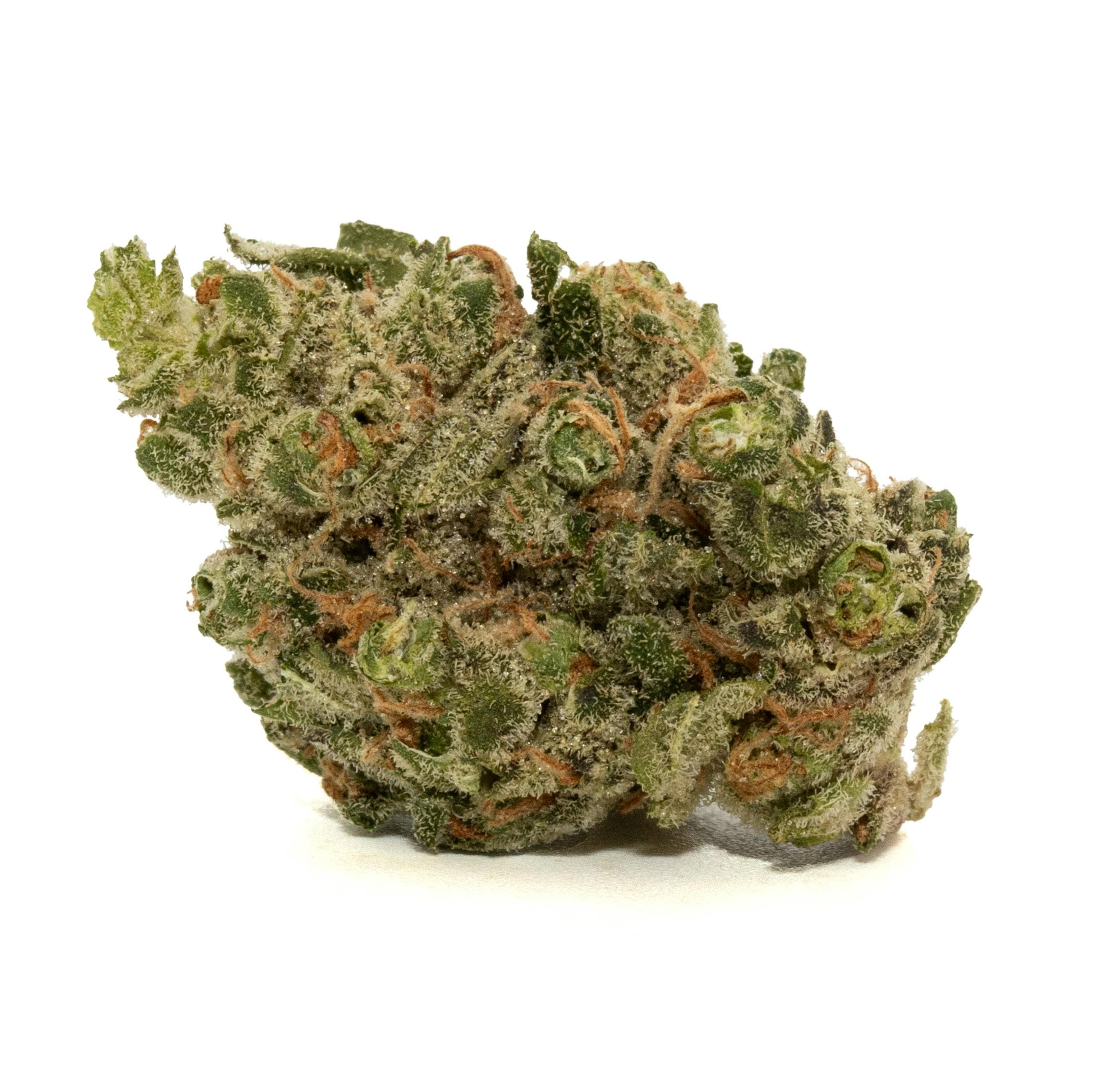 BIOFUEL [3.5G]