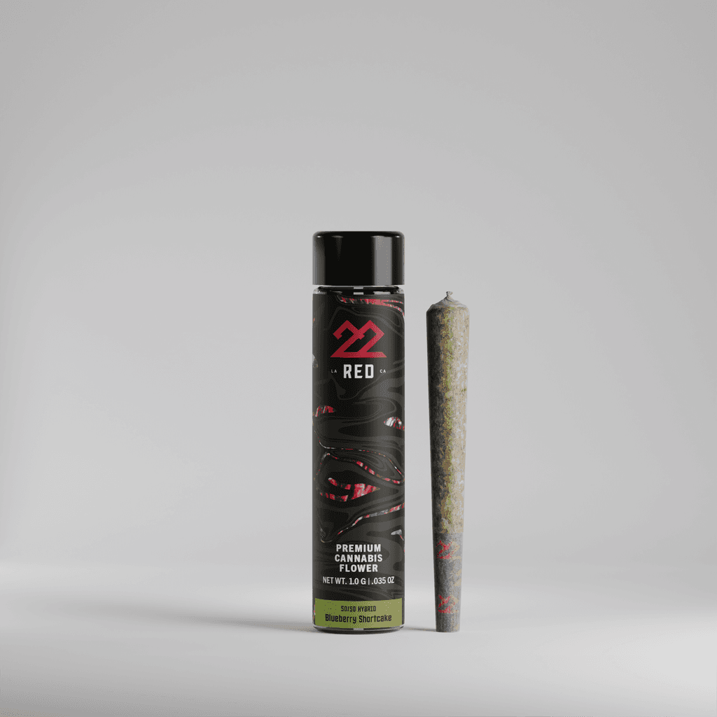 BrainFizz