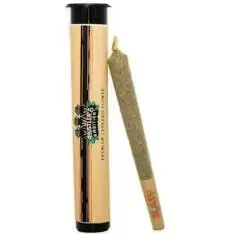 Cannoli Kush
