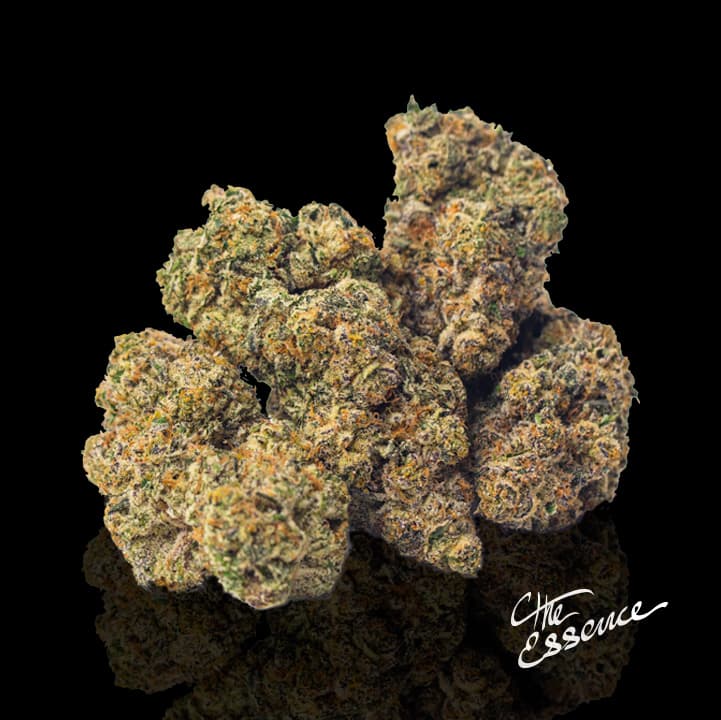 Grape Noir