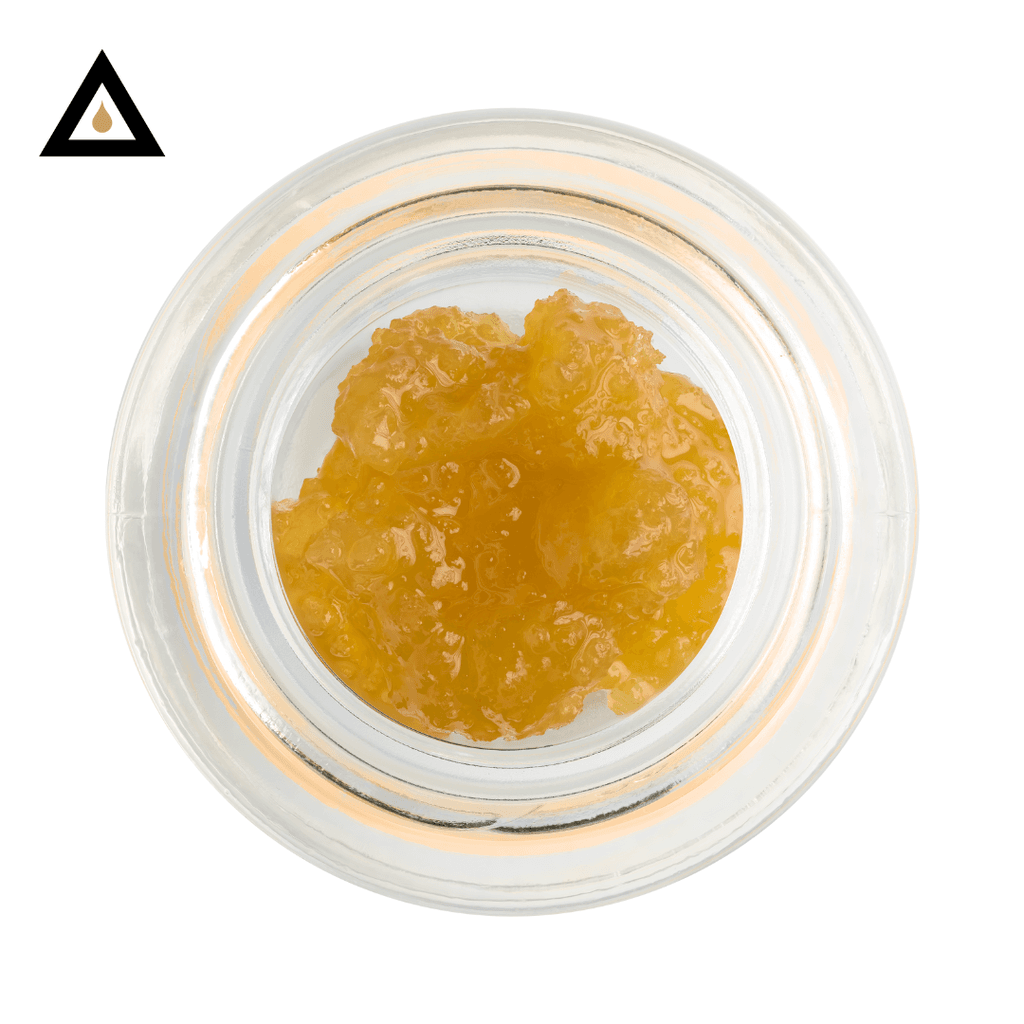 GMO x Papaya