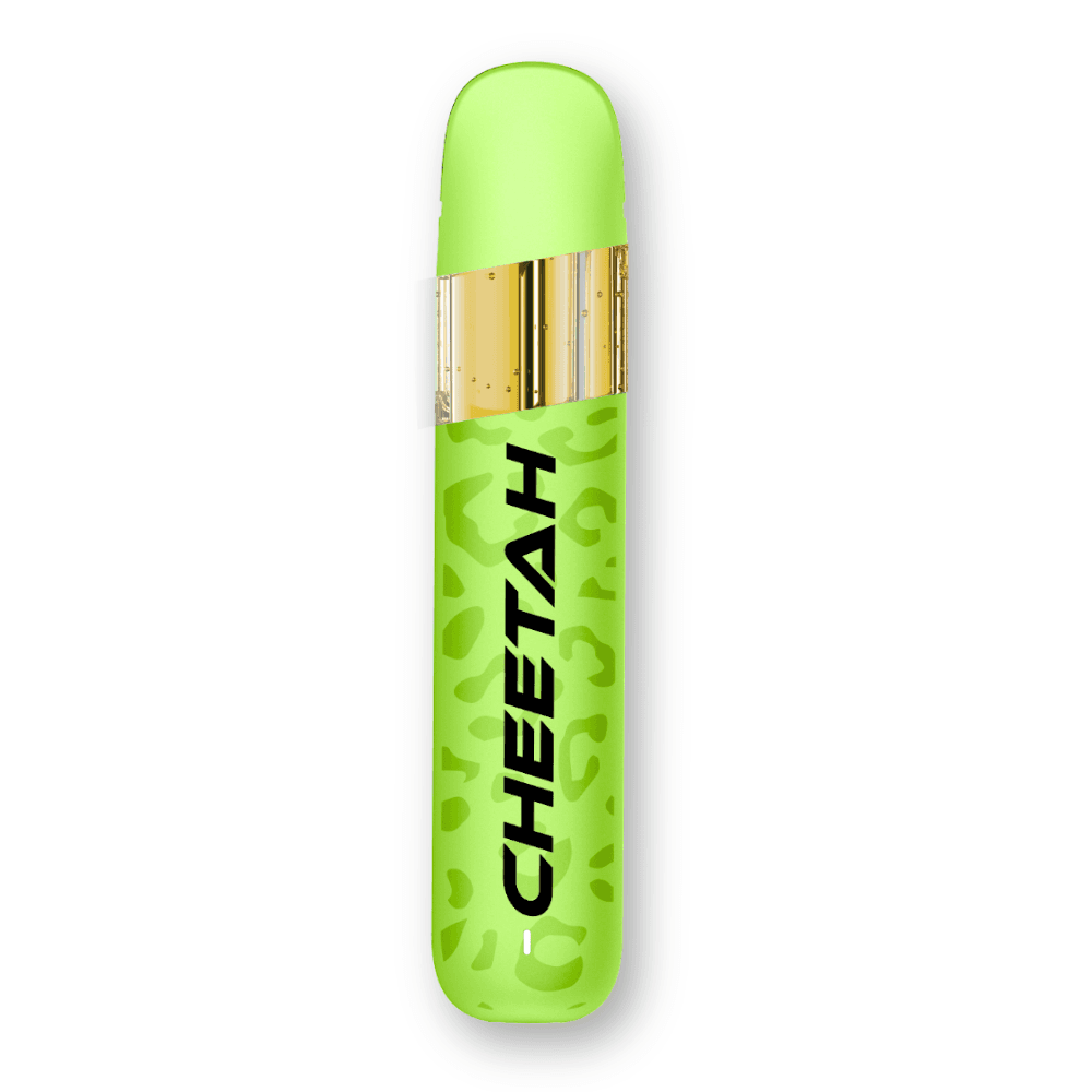 Ice Cream Cake - Bright Green
