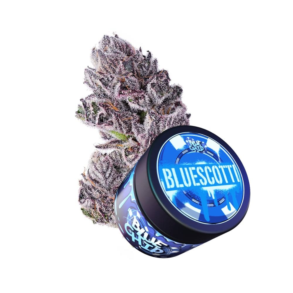 Bluescotti