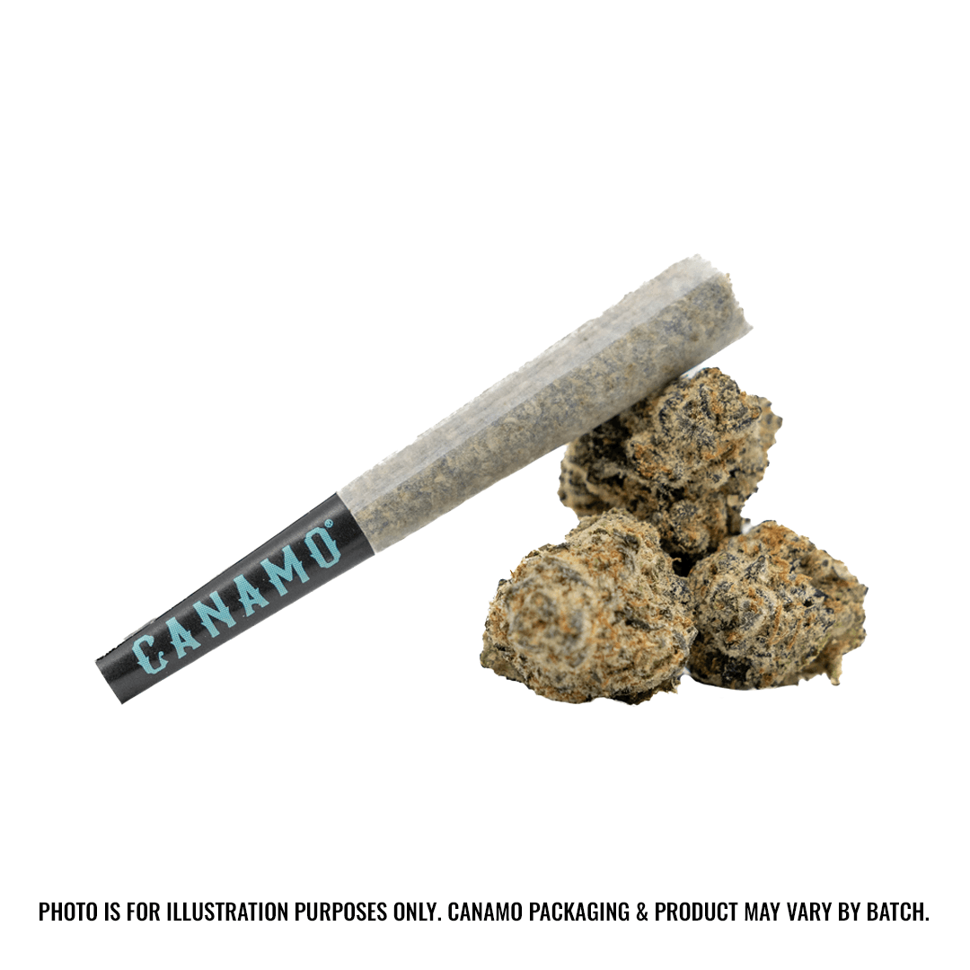 Classic Preroll 0.5g - Steely Dan
