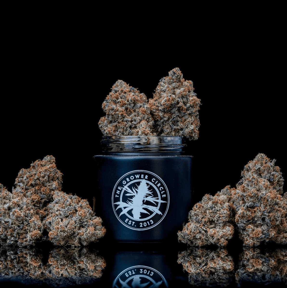 The Grower Circle Waffle Cone 3.5g Prepack