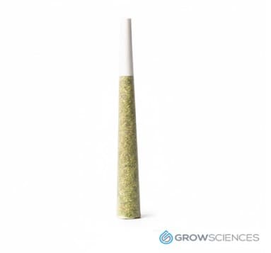 Prickly Pear Pre-Roll