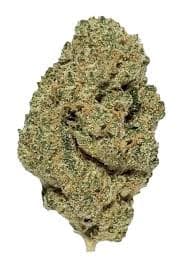 State Flower | Blue Guava 3.5g