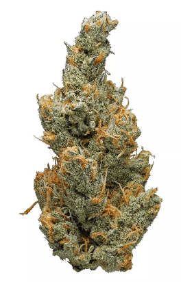 GLP | Bernie Hana Butter 3.5g