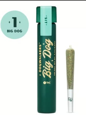 Dogwalkers - Preroll - VelcroZ (Stay) (H)