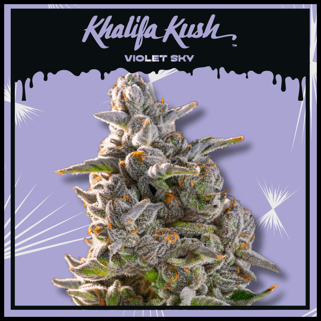 Khalifa Kush Violet Sky 3.5g Prepack