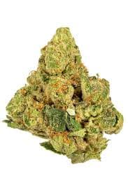 Green | Honey Buns 14g