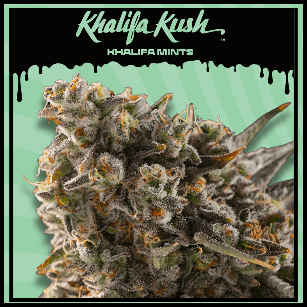 Khalifa Kush Khalifa Mints 3.5g Prepack