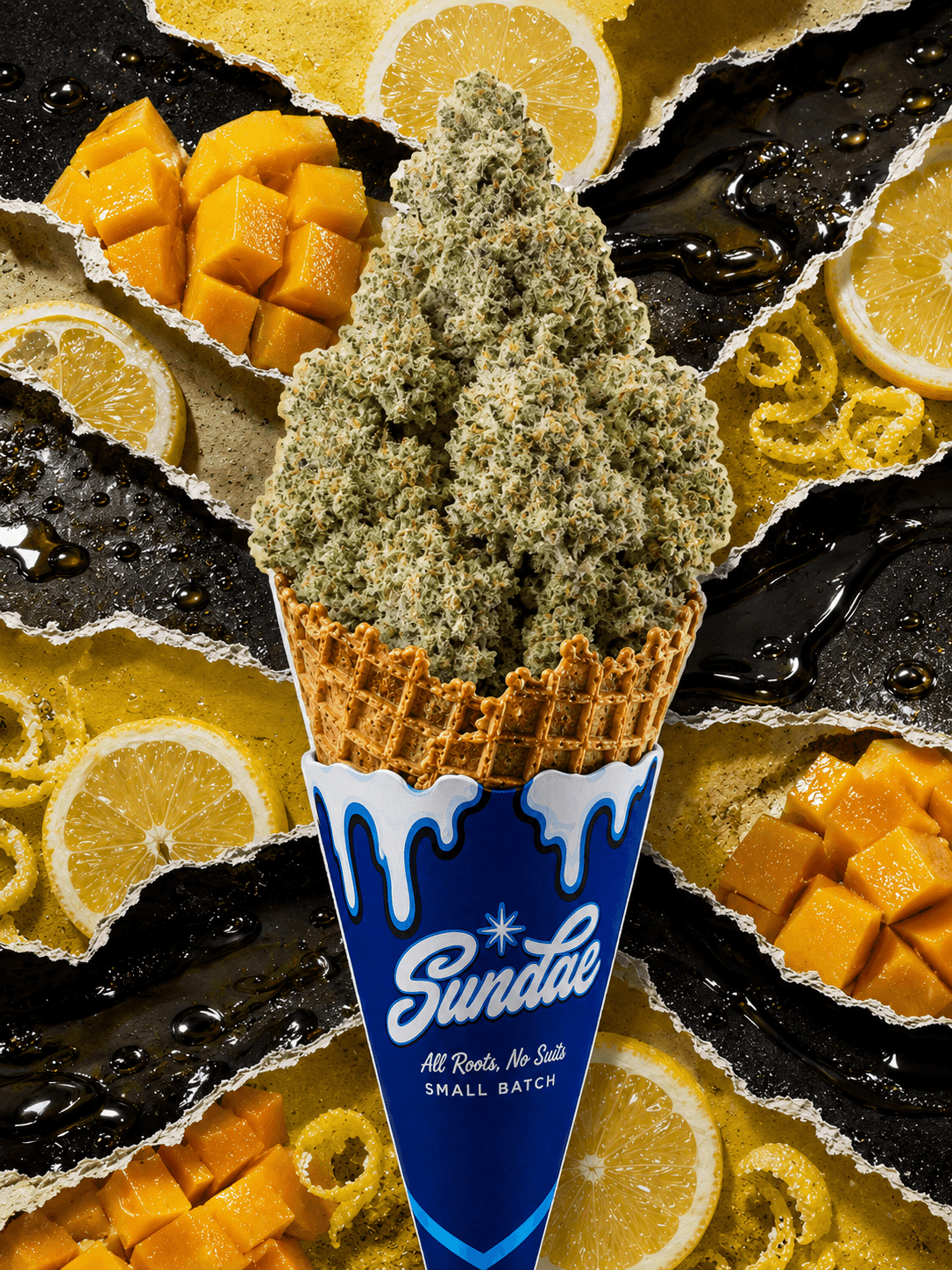 Sundae Co. Sour San Souci (H) Flower 3.5g