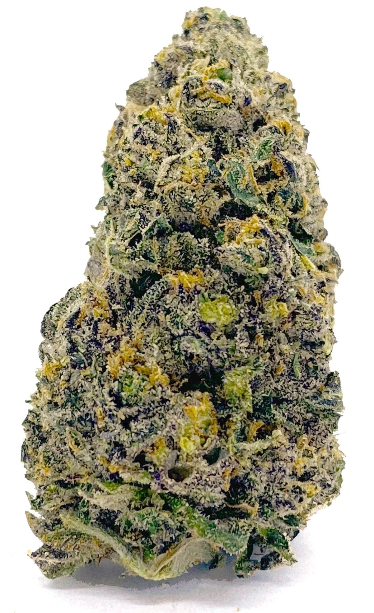 Gold Leaf Thin Mint (H) Flower 3.5g