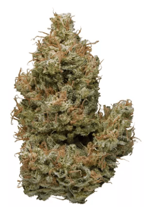 GLP | Sunshine Daydream 3.5g