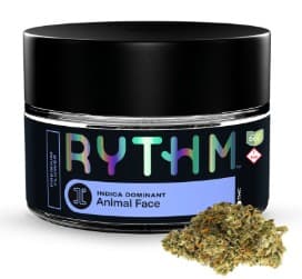 Rythm - Flower - Animal Scout (H)