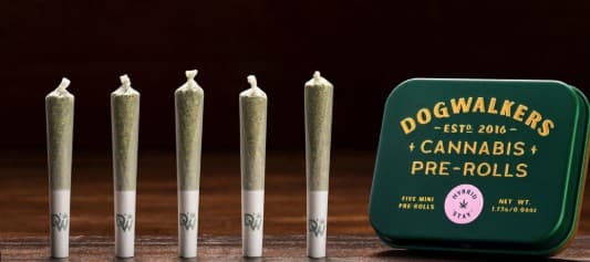 Dogwalkers - Preroll 5pk - Gogurtz (Stay) (H)