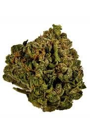 State Flower | OG Diesel 3.5g
