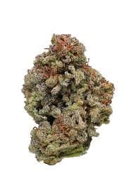 Phantom Farms | Reno Runtz 14g