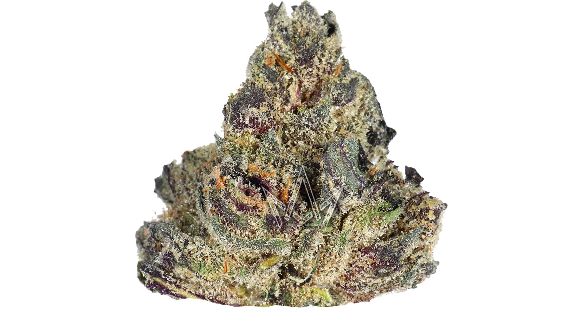 STIIIZY | Cocolato 3.5g