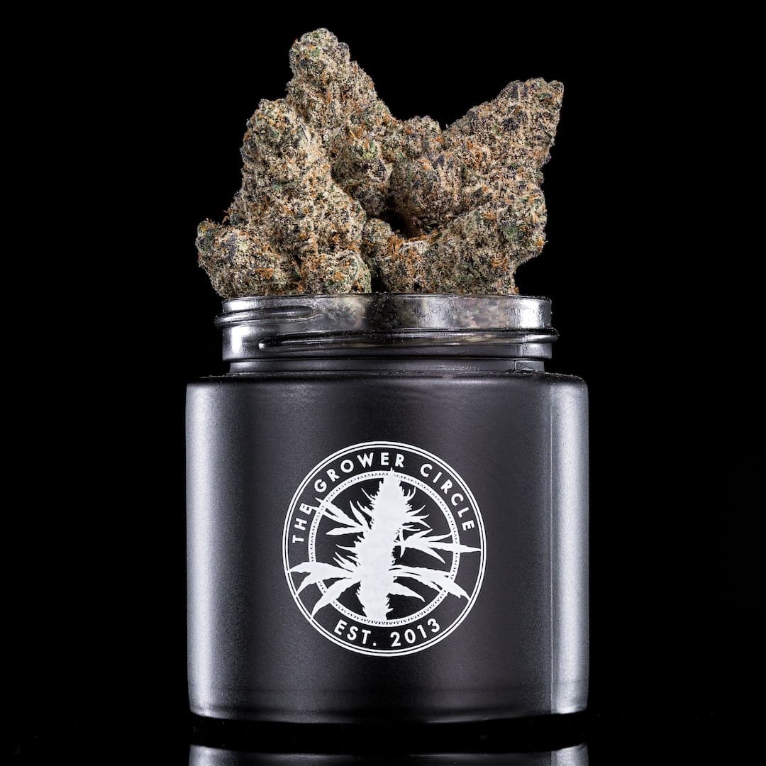The Grower Circle Waffle Cone  3.5g