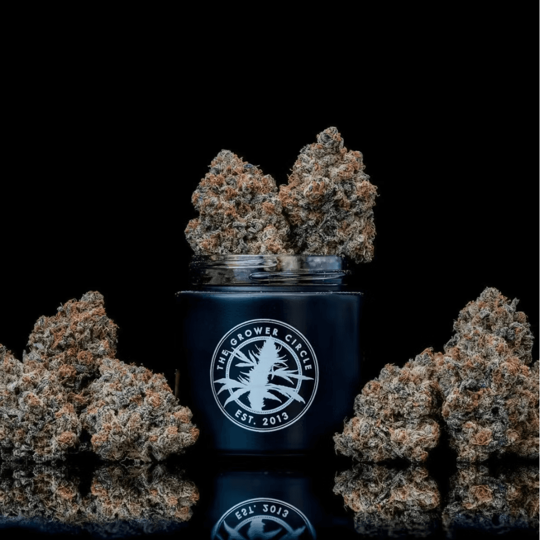 The Grower Circle GMO x Lemon 3.5g Prepack