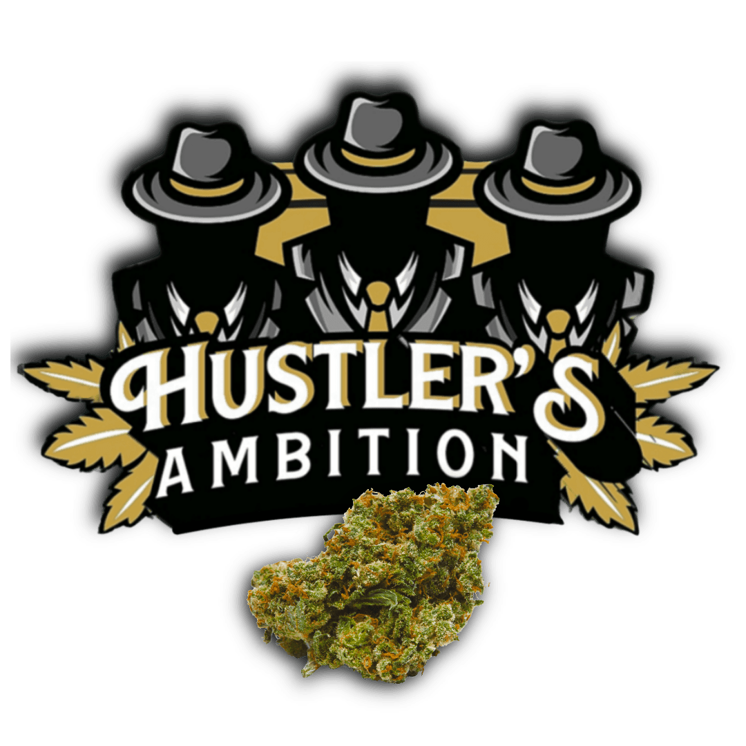 Hustler's Ambition - Black Cherry Gelato