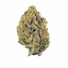 Green | Creamy Mint Gusher 14g