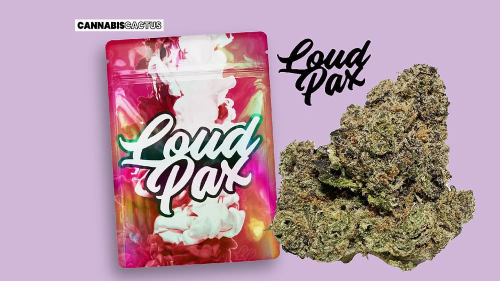 Louddpax | Shot Caller 3.5g