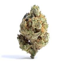 State Flower | The Juice 3.5g